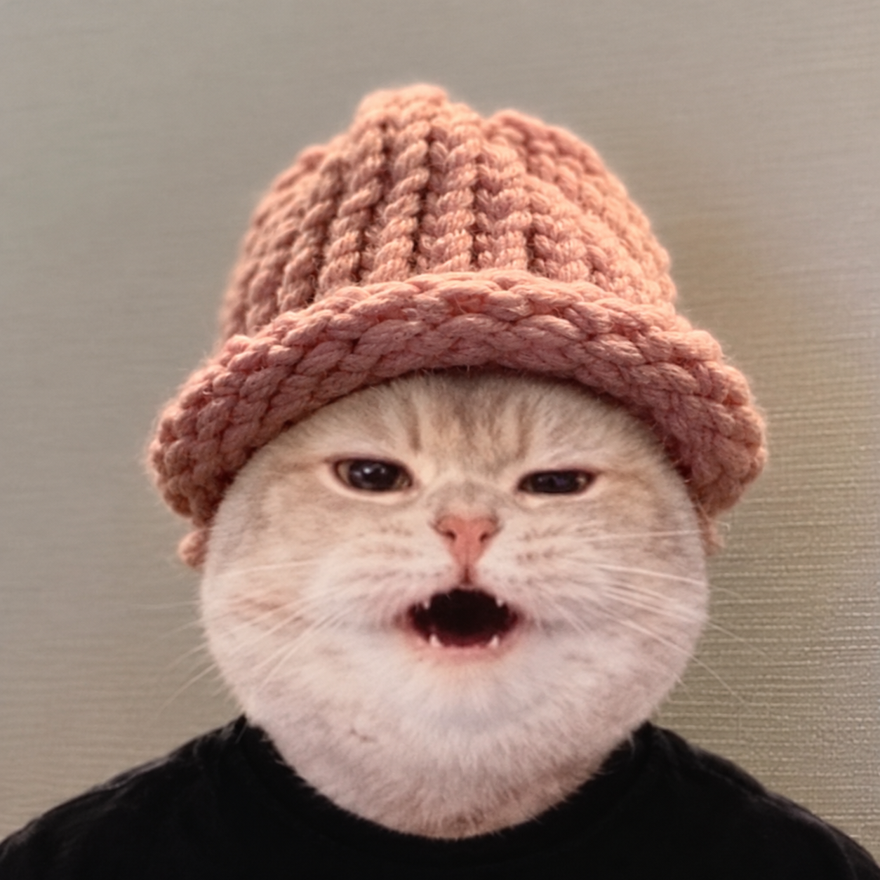 White cat wearing a coral knitted hat